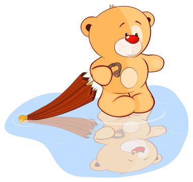 pelüş oyuncak ayı