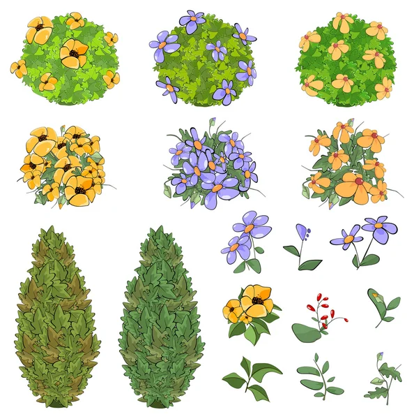 Садові рослини з квітами — стоковий вектор