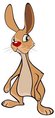 çizgi film karakteri tavşan