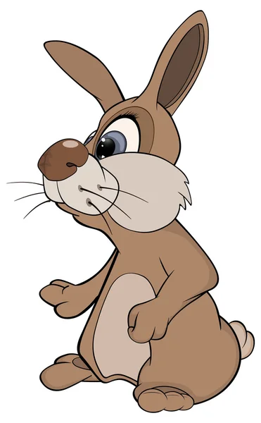 Cartoon Rabbit personaggio — Vettoriale Stock