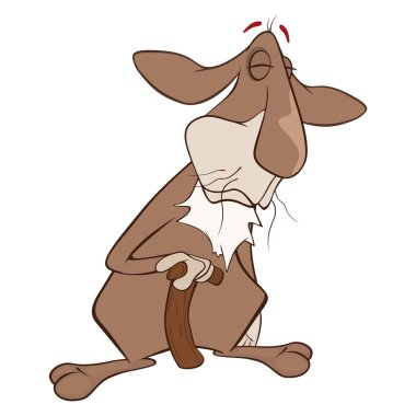 izole karikatür tavşan