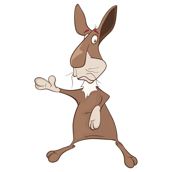 Conejo de dibujos animados aislado — Vector de stock