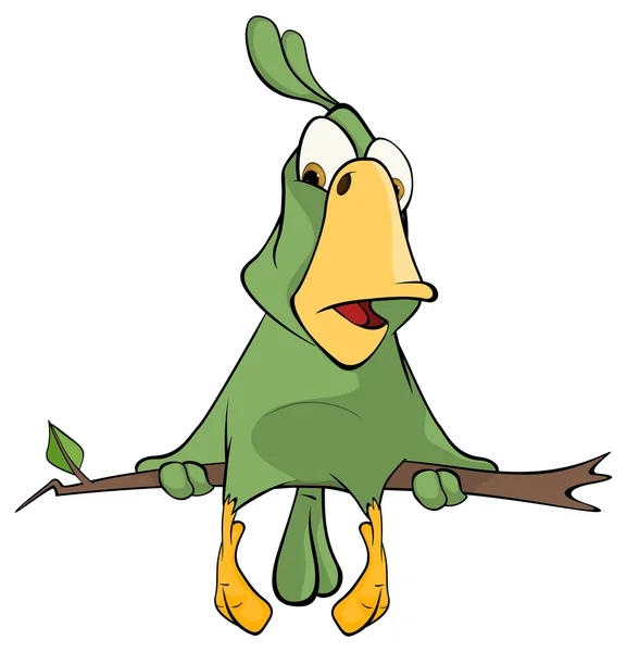 Zöld papagáj rajzfilm — Stock Vector