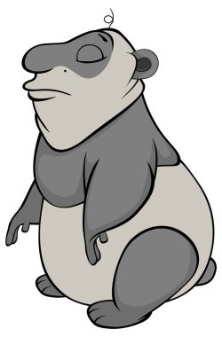 sevimli küçük panda