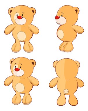 sevimli çizgi ayı karakter kümesi