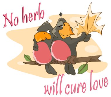 Two Lovers birds , an Adage clipart