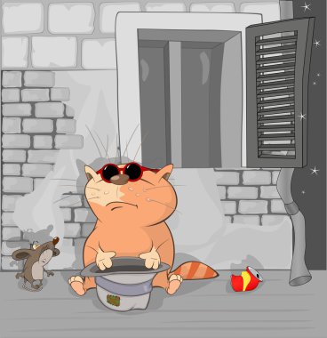 Yardım için açık havada kedi