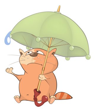 Şemsiye ile şirin bir kedi resmi