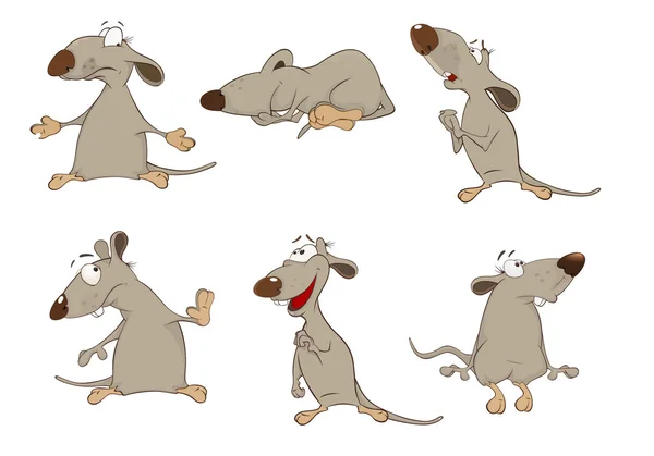 Set de lindas ratas — Vector de stock