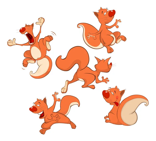 Set of Cute Squirrels — Stock Vector