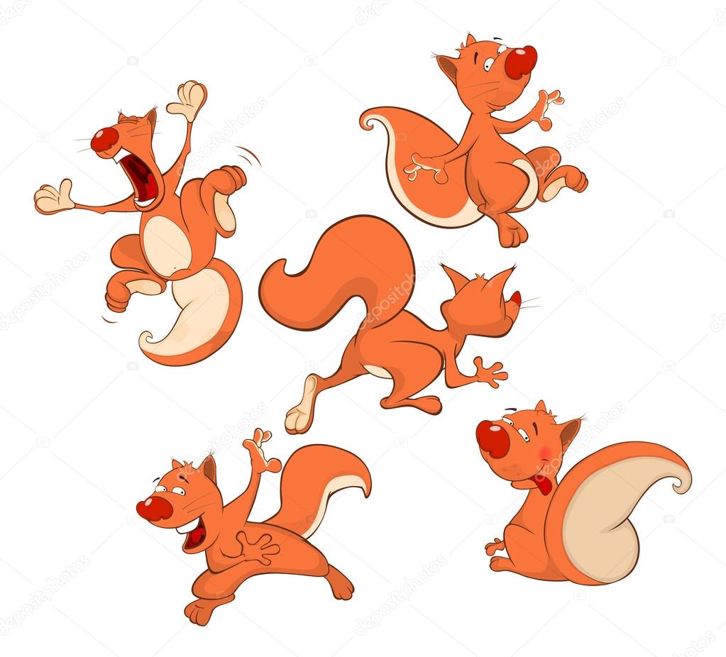 Set of Cute Squirrels
