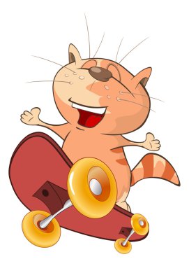 Şirin kedi kaykaycı