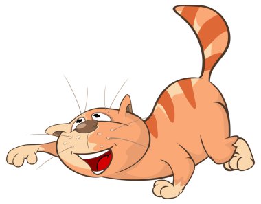 Şirin Çizgi Film Kedisi