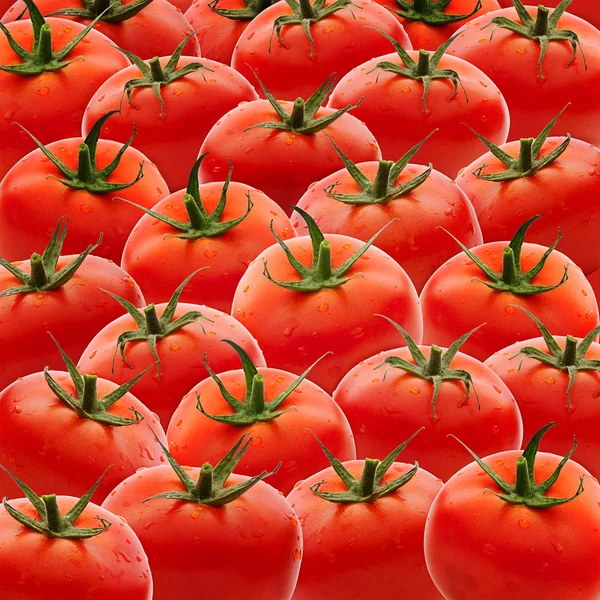 Set de tomates frescos — Foto de Stock