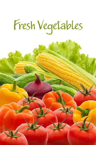 Fresh vegetable collection — Stock Photo, Image