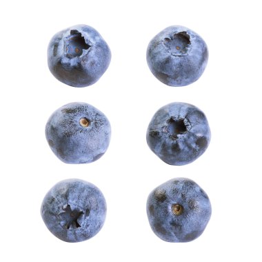 beyaz izole yaban mersini