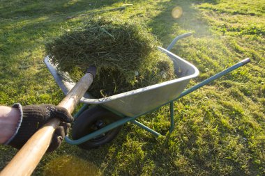 Tre Bahçe çalışmalarında