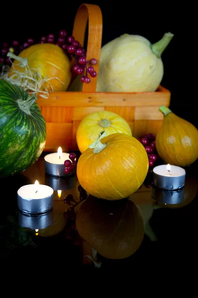ハロウィーンの装飾: 熟した pumpkinies のグループ — ストック写真
