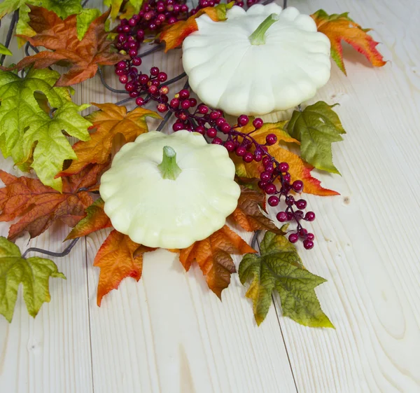 Herfst decoratie van cymbling — Stockfoto