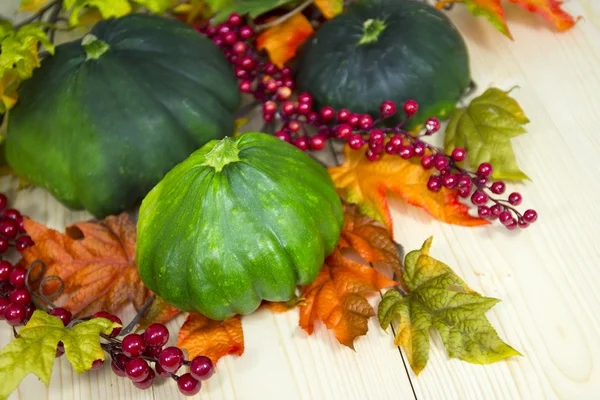 Herfst decoratie van courgette — Stockfoto