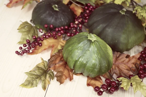 Herbstliche Dekoration von Zucchini — Stockfoto