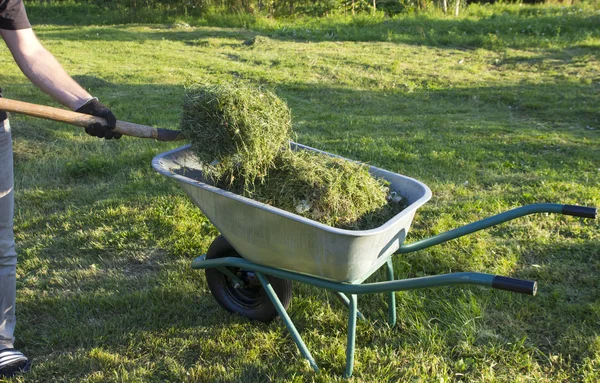 The work in tre garden — Stock Photo, Image