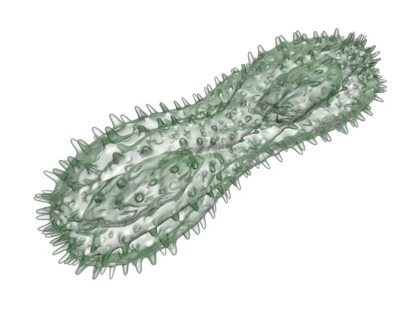 单细胞的生物 — 图库照片