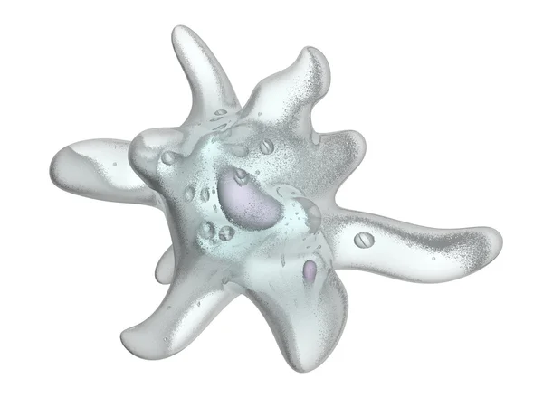Amoeba protozoa — Stock Photo, Image