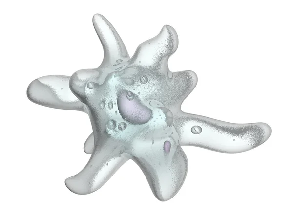 Amoeba protozoer — Stockfoto