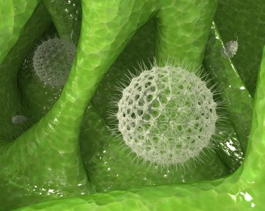 Tek hücreli organizmalar kolonisi