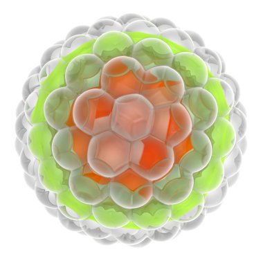 Herpes virüsü illüstrasyon renkli