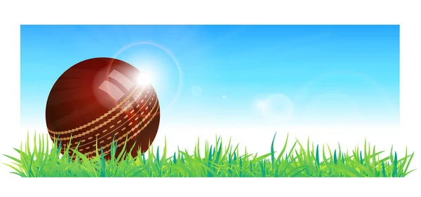 Cricket Ball Background Grass Sky Vector Illustration — Stock Vector