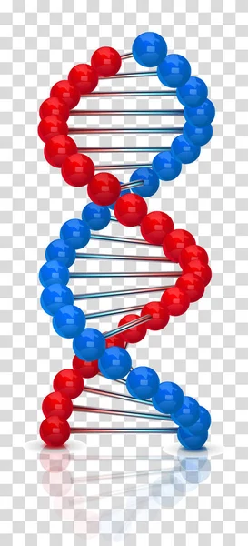 Dna Vektor Illustration Isolerad Rutig Bakgrund — Stock vektor