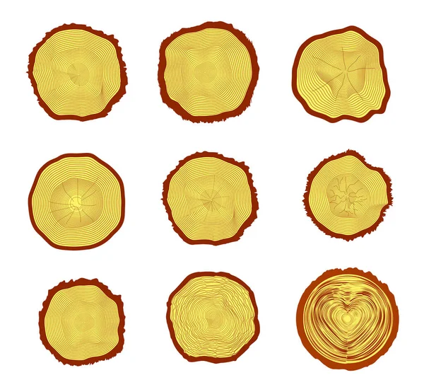 幹の9本の断面図と木の輪 白い背景のベクトル図 — ストックベクタ