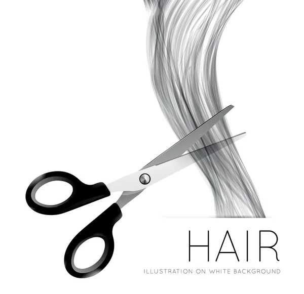 Hair and scissors on a white background — Stock Vector