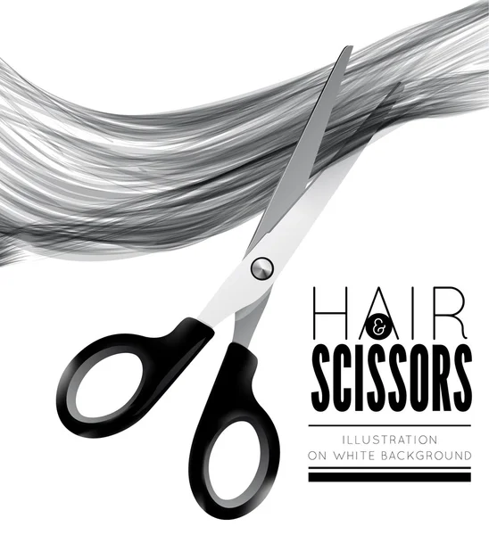 Hair and scissors on a white background — Stock Vector