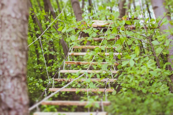 Holztreppen im grünen Waldpark — Stockfoto