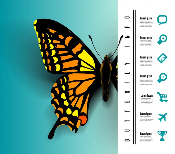 Realistische Schmetterling Draufsicht — Stockvektor