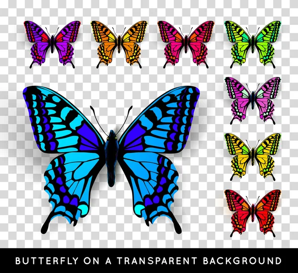 Realistic butterfly on transparent background — Stock Vector