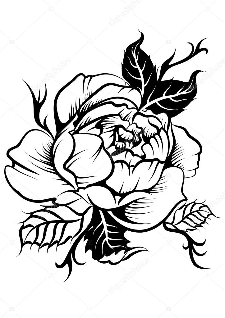 Beautiful peony flower in tatto style Stock Vector Image by ©ativka #83705170 Beautiful peony flower in tatto style Stock Vector Image by ©ativka #83705170