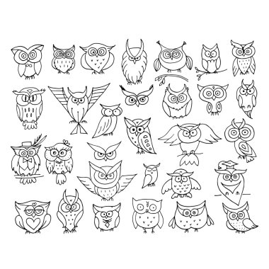 Tasarımınız için komik baykuş koleksiyonu kümesi