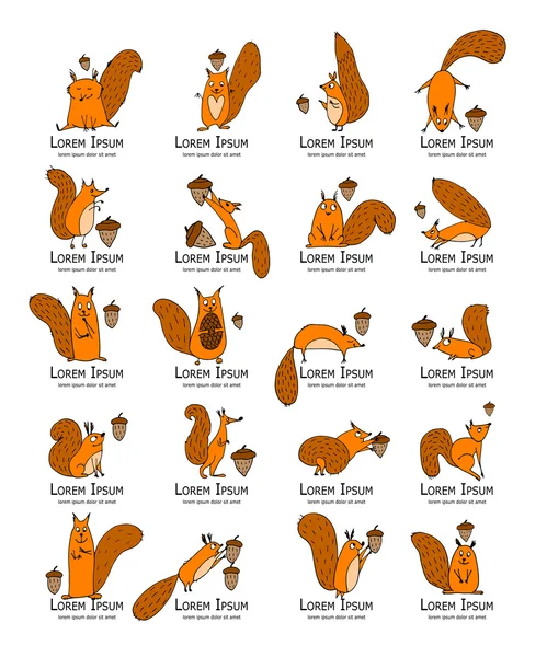 Grappige eekhoorn met moer, collectie voor uw ontwerp — Stockvector