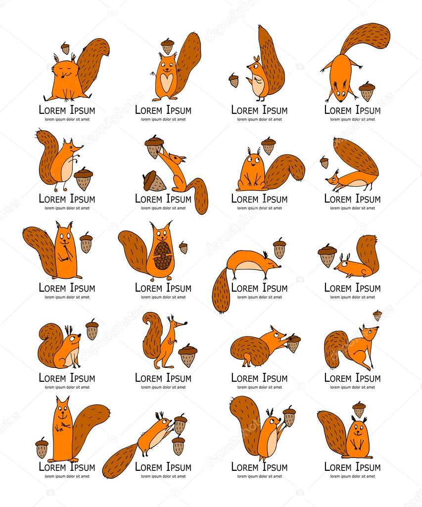 Funny squirrel with nut, collection for your design. Vector illustration