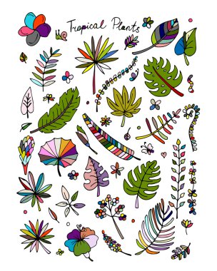 Tropik bitkiler, tasarımınız için kroki