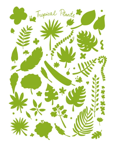 Tumbuhan tropis, sketsa untuk desain Anda - Stok Vektor