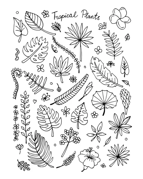 Тропические растения, эскиз для вашего дизайна — стоковый вектор