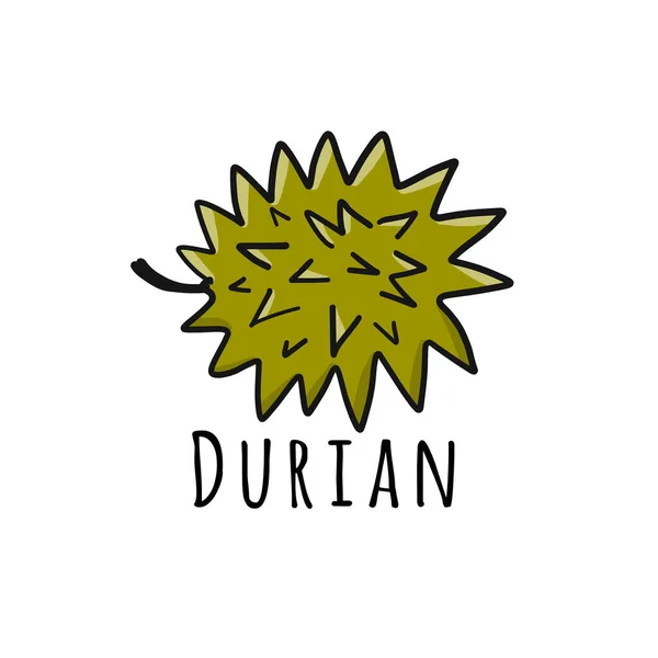 Durian, esboço para o seu projeto —  Vetores de Stock