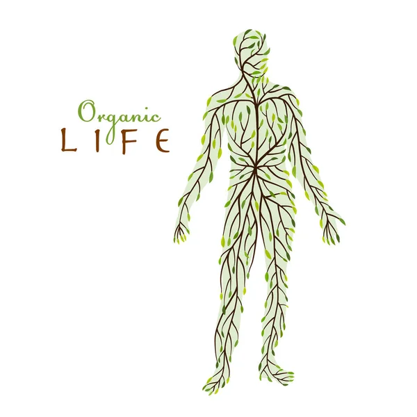 Concepto de vida orgánica. Forma de la gente de hoja verde para su diseño — Vector de stock