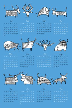 Komik boğalar takvim tasarımı. 2021 yılının sembolü. Boğa, öküz, inek