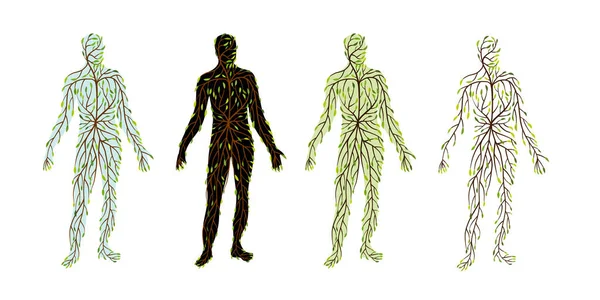 Organisk liv koncept. Grønne blade mennesker forme til dit design – Stock-vektor